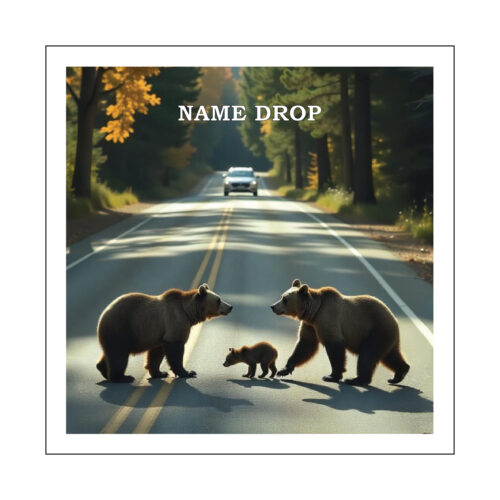 BEAR FAMILY