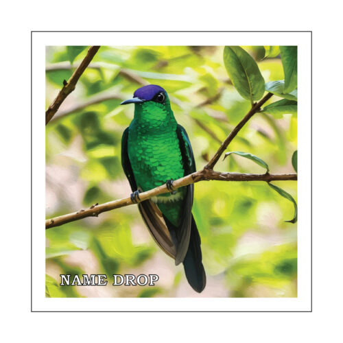 HUMMING BIRD