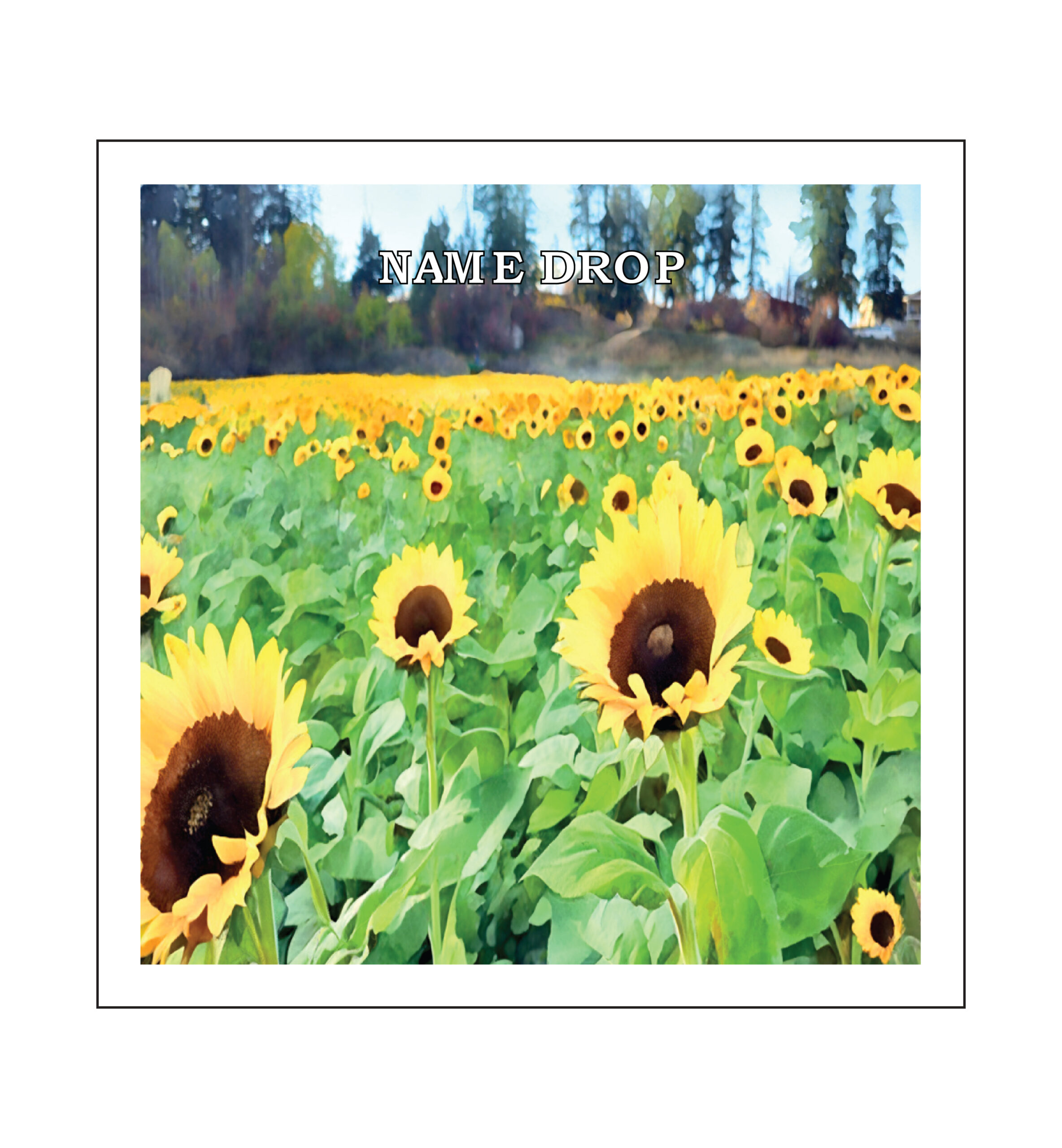 SUNFLOWERS