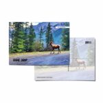 MOUNTAIN GOAT - 0029