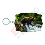 BEAR CATHING FISH - 0001