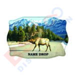MOOSE - 0027